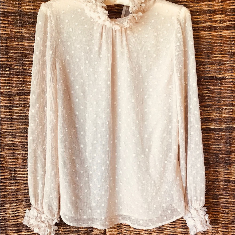 Zara Basic Collection Blouse - image 1
